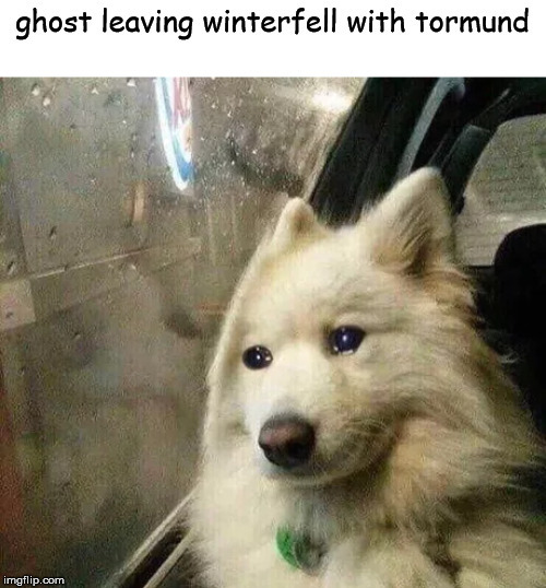 he was such a good boi | image tagged in game of thrones | made w/ Imgflip meme maker