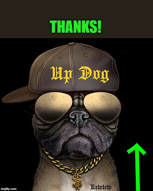 up dog | THANKS! | image tagged in up dog | made w/ Imgflip meme maker