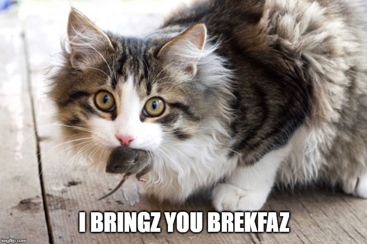 I BRINGZ YOU BREKFAZ | made w/ Imgflip meme maker