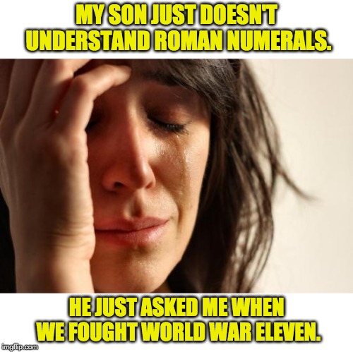 First World Problems | MY SON JUST DOESN'T UNDERSTAND ROMAN NUMERALS. HE JUST ASKED ME WHEN WE FOUGHT WORLD WAR ELEVEN. | image tagged in memes,first world problems | made w/ Imgflip meme maker