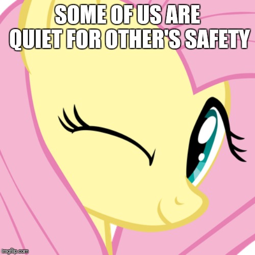 SOME OF US ARE QUIET FOR OTHER'S SAFETY | made w/ Imgflip meme maker
