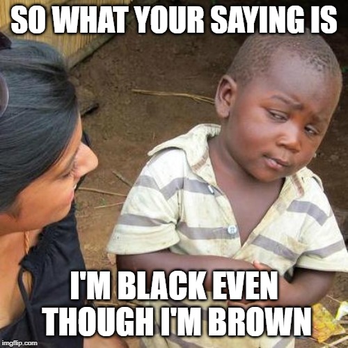 Third World Skeptical Kid Meme | SO WHAT YOUR SAYING IS; I'M BLACK EVEN THOUGH I'M BROWN | image tagged in memes,third world skeptical kid | made w/ Imgflip meme maker