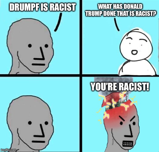 NPC Meme | WHAT HAS DONALD TRUMP DONE THAT IS RACIST? DRUMPF IS RACIST; YOU’RE RACIST! | image tagged in npc meme | made w/ Imgflip meme maker