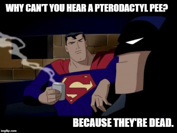 Batman And Superman Meme | WHY CAN'T YOU HEAR A PTERODACTYL PEE? BECAUSE THEY'RE DEAD. | image tagged in memes,batman and superman | made w/ Imgflip meme maker