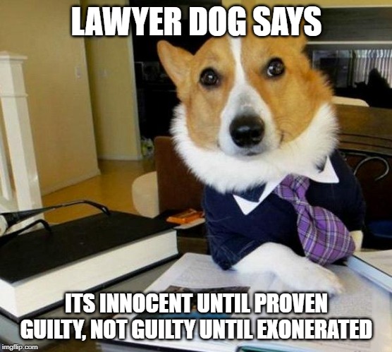 Lawyer Dog | LAWYER DOG SAYS ITS INNOCENT UNTIL PROVEN GUILTY, NOT GUILTY UNTIL EXONERATED | image tagged in lawyer dog | made w/ Imgflip meme maker