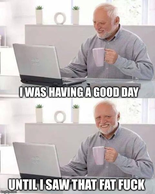 Hide the Pain Harold Meme | I WAS HAVING A GOOD DAY UNTIL I SAW THAT FAT F**K | image tagged in memes,hide the pain harold | made w/ Imgflip meme maker