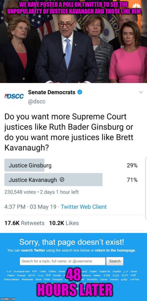 Democrats Just Love to Revise History | WE HAVE POSTED A POLL ON TWITTER TO SEE THE UNPOPULARITY OF JUSTICE KAVANAGH AND THOSE LIKE HIM; 48 HOURS LATER | image tagged in democrat congressmen,political meme,funny,stupid liberals,polls | made w/ Imgflip meme maker