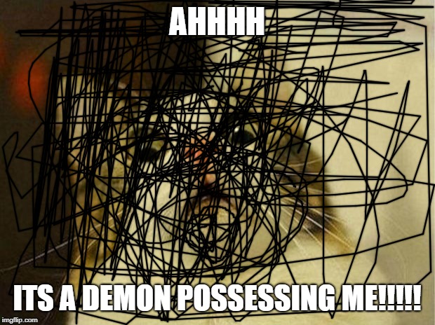 Scared Cat Meme | AHHHH; ITS A DEMON POSSESSING ME!!!!! | image tagged in memes,scared cat | made w/ Imgflip meme maker