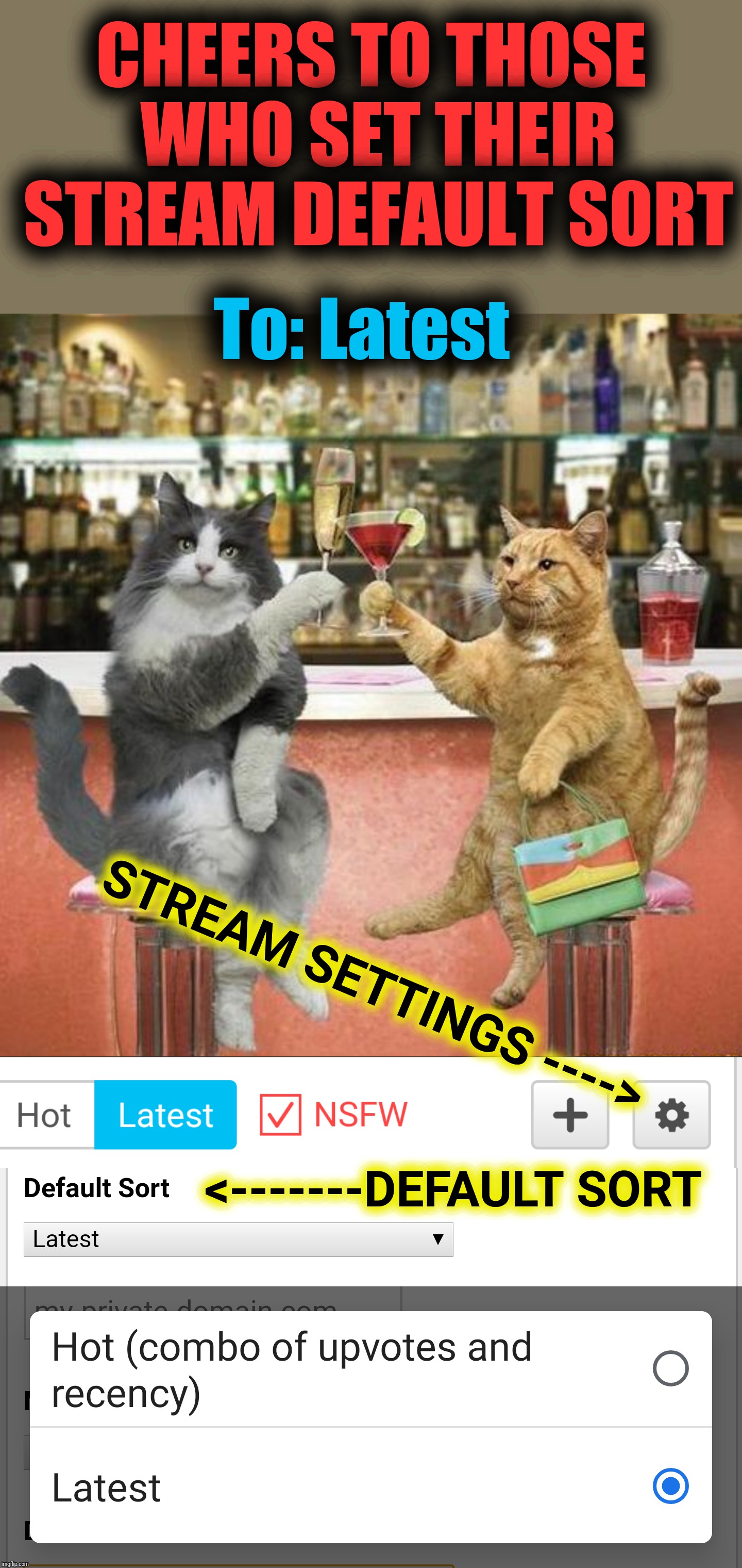 There's a new option in stream settings for stream owners to set the Default Sort. | CHEERS TO THOSE WHO SET THEIR STREAM DEFAULT SORT; To: Latest; STREAM SETTINGS ---->; <-------DEFAULT SORT | image tagged in latest stream,imgflip streams,settings | made w/ Imgflip meme maker