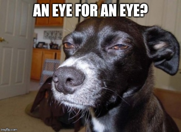 Suspicious dog | AN EYE FOR AN EYE? | image tagged in suspicious dog | made w/ Imgflip meme maker