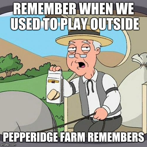 Pepperidge Farm Remembers Meme | REMEMBER WHEN WE USED TO PLAY OUTSIDE; PEPPERIDGE FARM REMEMBERS | image tagged in memes,pepperidge farm remembers | made w/ Imgflip meme maker