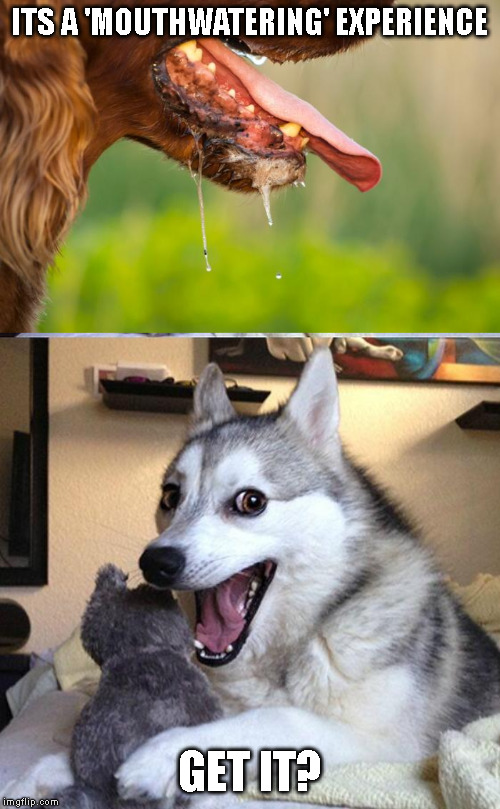 ITS A 'MOUTHWATERING' EXPERIENCE; GET IT? | image tagged in memes,bad pun dog | made w/ Imgflip meme maker