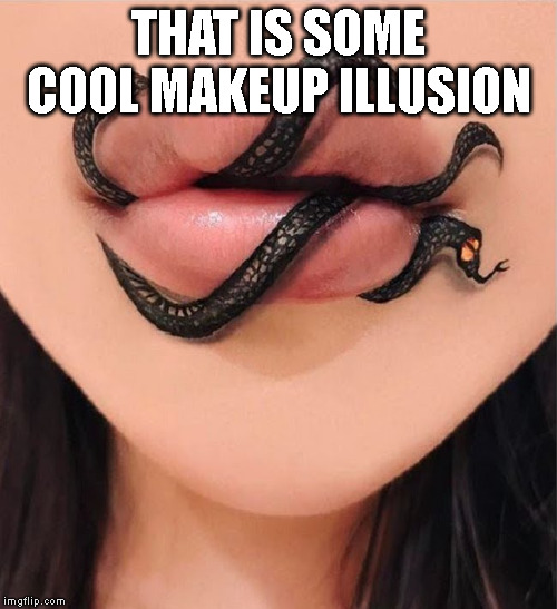  THAT IS SOME COOL MAKEUP ILLUSION | made w/ Imgflip meme maker