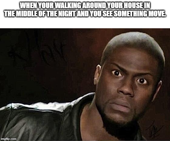 Kevin Hart | WHEN YOUR WALKING AROUND YOUR HOUSE IN THE MIDDLE OF THE NIGHT AND YOU SEE SOMETHING MOVE. | image tagged in memes,kevin hart | made w/ Imgflip meme maker