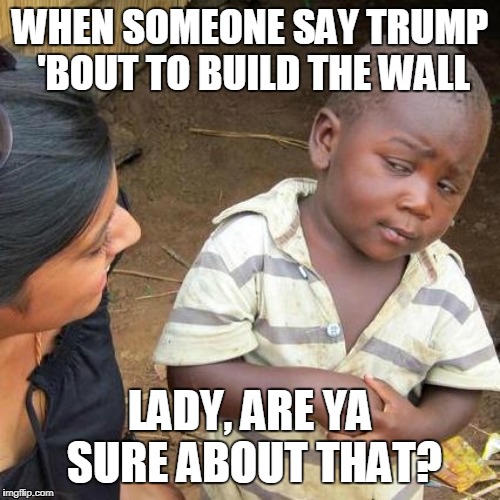 Third World Skeptical Kid | WHEN SOMEONE SAY TRUMP 'BOUT TO BUILD THE WALL; LADY, ARE YA SURE ABOUT THAT? | image tagged in memes,third world skeptical kid | made w/ Imgflip meme maker