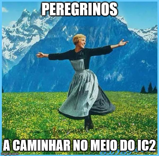 This is me not caring | PEREGRINOS; A CAMINHAR NO MEIO DO IC2 | image tagged in this is me not caring,portugal | made w/ Imgflip meme maker