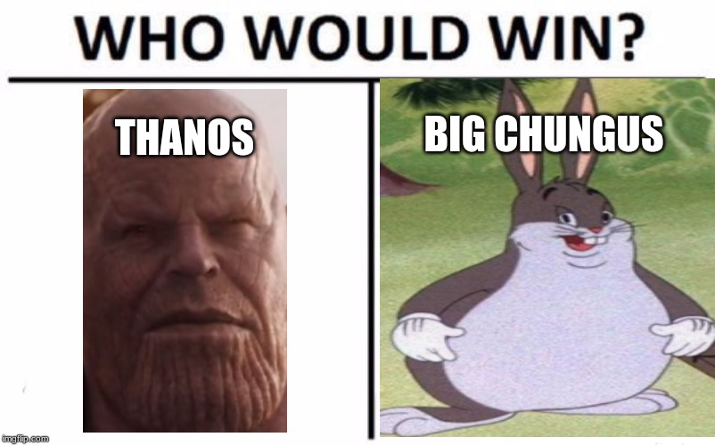 Who Would Win? Meme | BIG CHUNGUS; THANOS | image tagged in memes,who would win | made w/ Imgflip meme maker