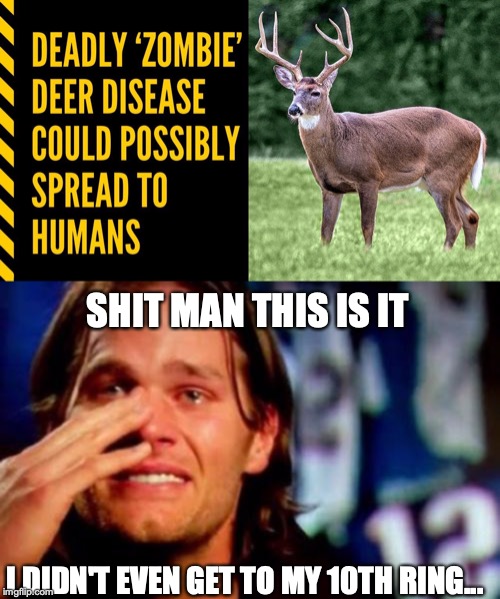 Zombie Deer Disease Tom Brady | SHIT MAN THIS IS IT; I DIDN'T EVEN GET TO MY 10TH RING... | image tagged in crying tom brady,zombiedeer,cwdmeme,zombie apocalypse,zombiedeervirus | made w/ Imgflip meme maker