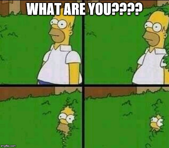 Homer Simpson Nope | WHAT ARE YOU???? | image tagged in homer simpson nope | made w/ Imgflip meme maker