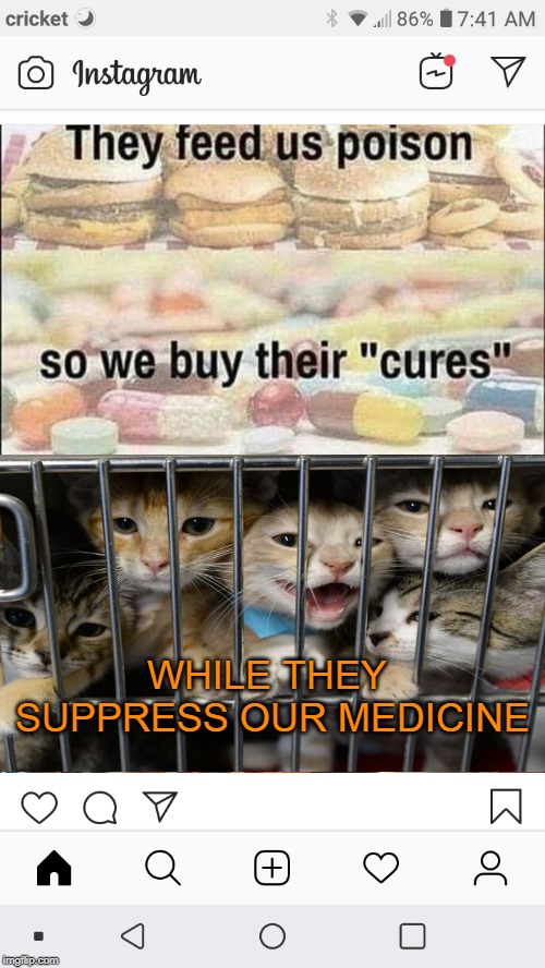Let your medicine be cats and cats be your medicine. | WHILE THEY SUPPRESS OUR MEDICINE | image tagged in cats | made w/ Imgflip meme maker