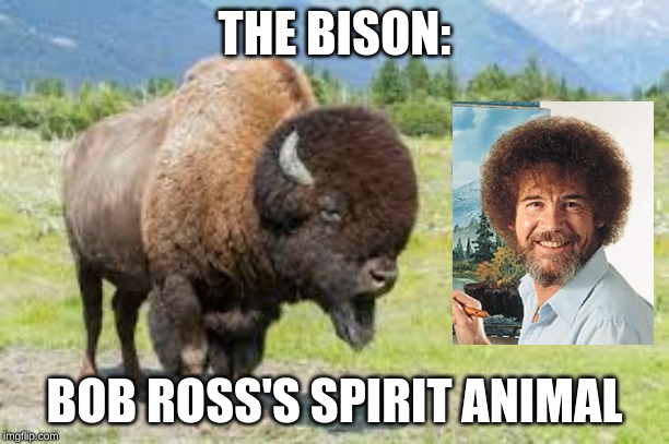 Bison Afro Bob Ross | THE BISON:; BOB ROSS'S SPIRIT ANIMAL | image tagged in bob ross | made w/ Imgflip meme maker