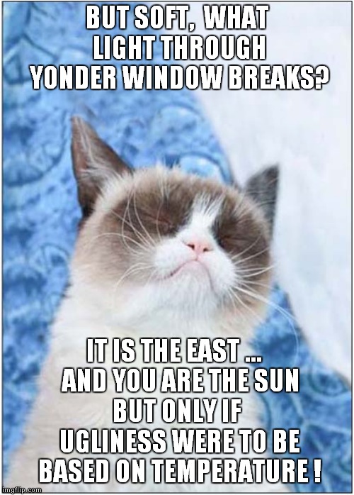 Grumpys Shakespearian Quote | BUT SOFT,  WHAT LIGHT THROUGH YONDER WINDOW BREAKS? IT IS THE EAST …   AND YOU ARE THE SUN; BUT ONLY IF UGLINESS WERE TO BE BASED ON TEMPERATURE ! | image tagged in cats,grumpy cat,romeo and juliet | made w/ Imgflip meme maker