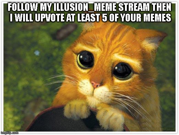 Shrek Cat Meme | FOLLOW MY ILLUSION_MEME STREAM THEN I WILL UPVOTE AT LEAST 5 OF YOUR MEMES | image tagged in memes,shrek cat | made w/ Imgflip meme maker