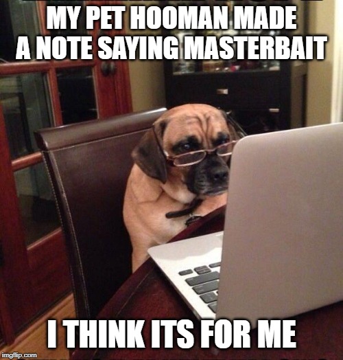 Computer Dog | MY PET HOOMAN MADE A NOTE SAYING MASTERBAIT; I THINK ITS FOR ME | image tagged in computer dog,glasses,work,masterbation,human,pets | made w/ Imgflip meme maker