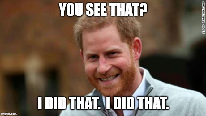 Prince Harry I did that | YOU SEE THAT? I DID THAT.  I DID THAT. | image tagged in prince harry | made w/ Imgflip meme maker