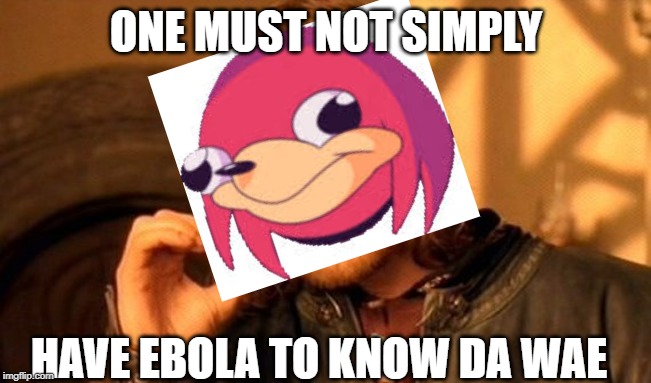 One Does Not Simply | ONE MUST NOT SIMPLY; HAVE EBOLA TO KNOW DA WAE | image tagged in memes,one does not simply | made w/ Imgflip meme maker