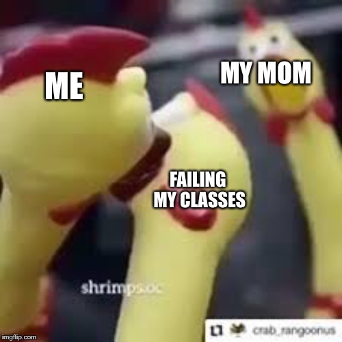 Grades and chickens | MY MOM; ME; FAILING MY CLASSES | image tagged in chickens,bad grades | made w/ Imgflip meme maker