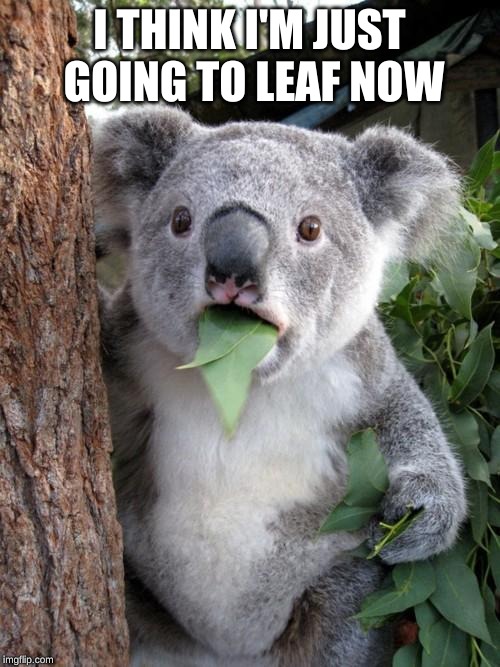 Surprised Koala Meme | I THINK I'M JUST GOING TO LEAF NOW | image tagged in memes,surprised koala | made w/ Imgflip meme maker