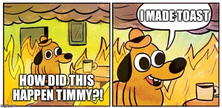 Toast | I MADE TOAST; HOW DID THIS HAPPEN TIMMY?! | image tagged in this is fine dog | made w/ Imgflip meme maker