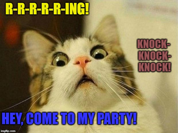 Introvert's Worst Nightmare! | R-R-R-R-R-ING! KNOCK- KNOCK- KNOCK! HEY, COME TO MY PARTY! | image tagged in memes,scared cat,introvert,hates people,nightmare,fear | made w/ Imgflip meme maker