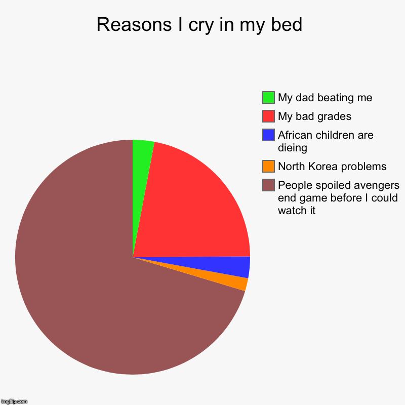 Reasons I cry in my bed | People spoiled avengers end game before I could watch it, North Korea problems, African children are dieing, My ba | image tagged in charts,pie charts | made w/ Imgflip chart maker