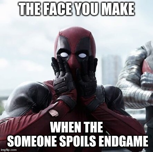 Deadpool Surprised Meme | THE FACE YOU MAKE; WHEN THE SOMEONE SPOILS ENDGAME | image tagged in memes,deadpool surprised | made w/ Imgflip meme maker