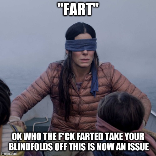 Bird Box Meme | "FART"; OK WHO THE F*CK FARTED TAKE YOUR BLINDFOLDS OFF THIS IS NOW AN ISSUE | image tagged in memes,bird box | made w/ Imgflip meme maker