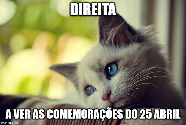 First World Problems Cat Meme | DIREITA; A VER AS COMEMORAÇÕES DO 25 ABRIL | image tagged in memes,first world problems cat,portugal | made w/ Imgflip meme maker