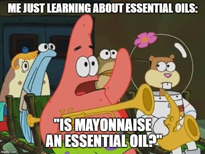 Is mayonnaise an instrument? | ME JUST LEARNING ABOUT ESSENTIAL OILS:; "IS MAYONNAISE AN ESSENTIAL OIL?" | image tagged in is mayonnaise an instrument | made w/ Imgflip meme maker