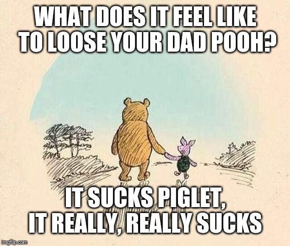 Pooh and Piglet |  WHAT DOES IT FEEL LIKE TO LOOSE YOUR DAD POOH? IT SUCKS PIGLET, IT REALLY, REALLY SUCKS | image tagged in pooh and piglet | made w/ Imgflip meme maker