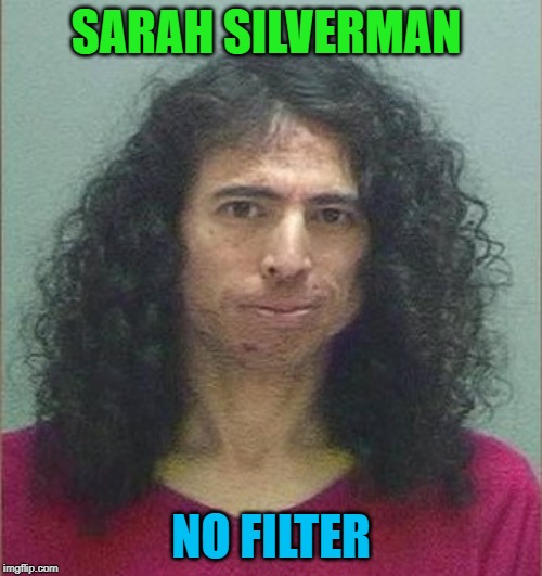 The resemblance is uncanny! | SARAH SILVERMAN; NO FILTER | image tagged in sarah silverman,nixieknox,memes | made w/ Imgflip meme maker
