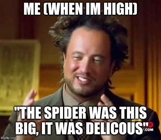 Ancient Aliens Meme | ME (WHEN IM HIGH); "THE SPIDER WAS THIS BIG, IT WAS DELICOUS" | image tagged in memes,ancient aliens | made w/ Imgflip meme maker