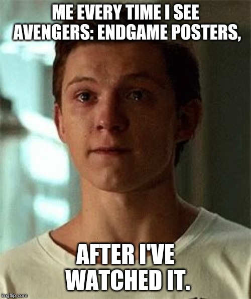 ME EVERY TIME I SEE AVENGERS: ENDGAME POSTERS, AFTER I'VE WATCHED IT. | image tagged in avengers endgame | made w/ Imgflip meme maker