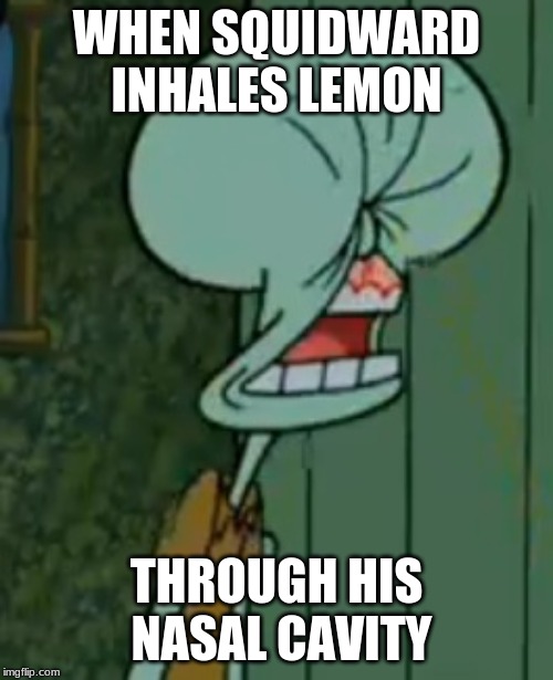 WHEN SQUIDWARD INHALES LEMON; THROUGH HIS NASAL CAVITY | image tagged in my friends idea,lemon | made w/ Imgflip meme maker