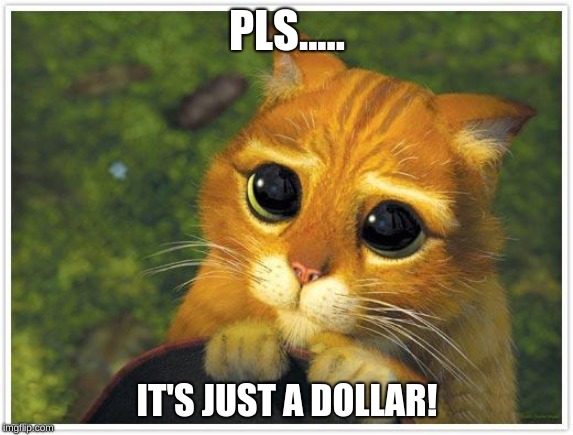 Shrek Cat | PLS..... IT'S JUST A DOLLAR! | image tagged in memes,shrek cat | made w/ Imgflip meme maker