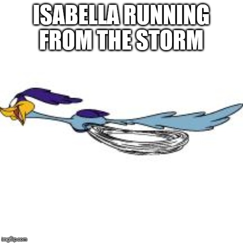 road runner | ISABELLA RUNNING FROM THE STORM | image tagged in road runner | made w/ Imgflip meme maker