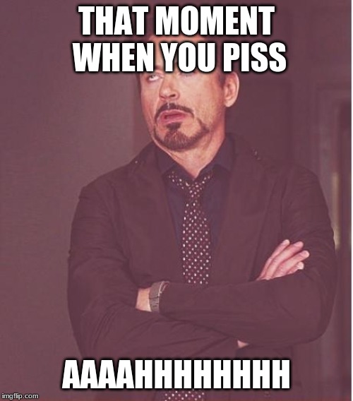 Face You Make Robert Downey Jr Meme | THAT MOMENT WHEN YOU PISS; AAAAHHHHHHHH | image tagged in memes,face you make robert downey jr | made w/ Imgflip meme maker