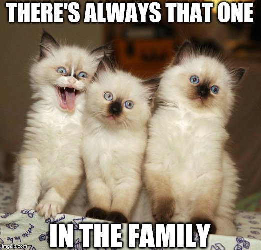There's always that one in the family | THERE'S ALWAYS THAT ONE; IN THE FAMILY | image tagged in there's always that one in the family | made w/ Imgflip meme maker