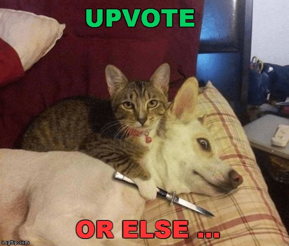 Talking Turkey | UPVOTE; OR ELSE ... | image tagged in cat with knife at dog's throat,memes,begging for upvotes | made w/ Imgflip meme maker