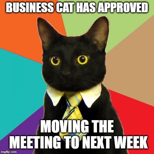 Business Cat | BUSINESS CAT HAS APPROVED; MOVING THE MEETING TO NEXT WEEK | image tagged in memes,business cat | made w/ Imgflip meme maker